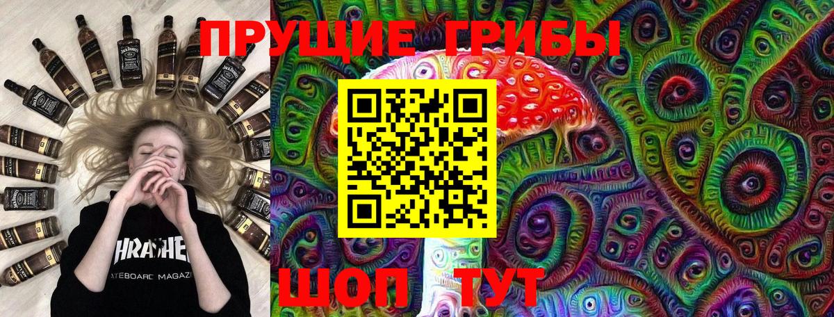 Псилоцибиновые грибы мухоморы  как найти закладки  Вход с VPN  Скопин  Галлюциногенные грибы Psilocybine cubensis 