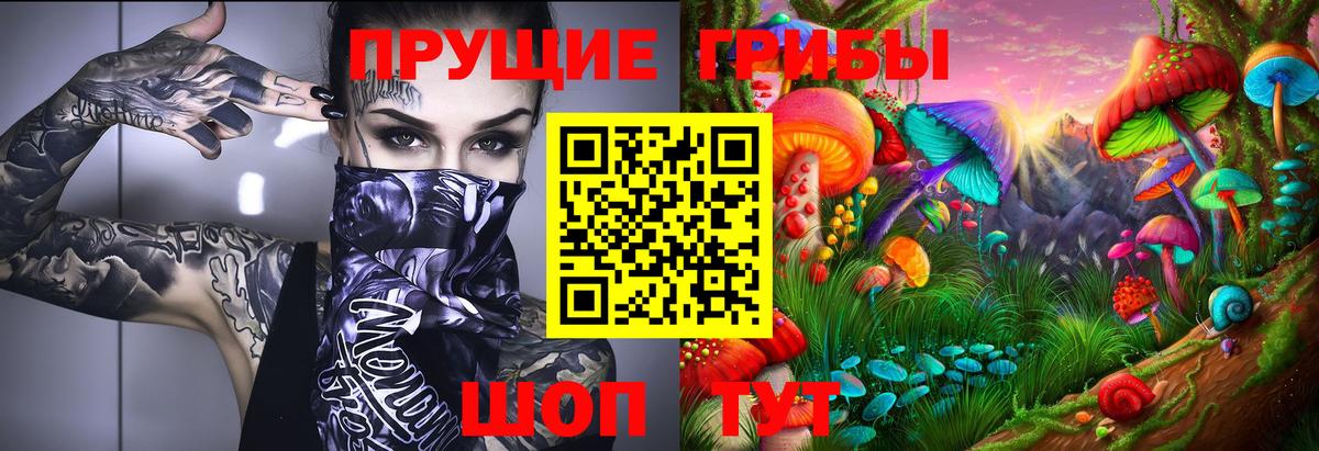 Галлюциногенные грибы Psilocybine cubensis Скопин
